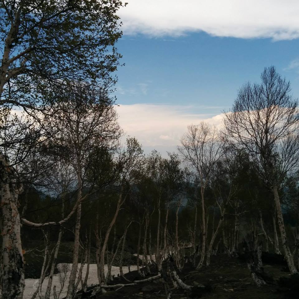 Photo of by Gopika Gulati