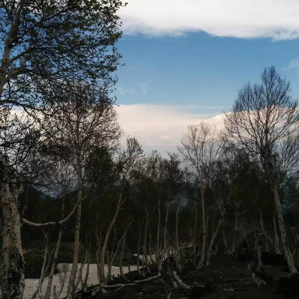 Photo of Gulmarg by Gopika Gulati