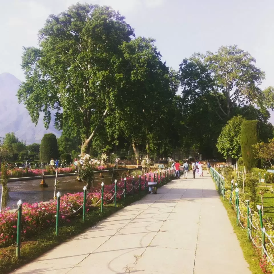 Photo of Mughal Garden, Srinagar by Gopika Gulati