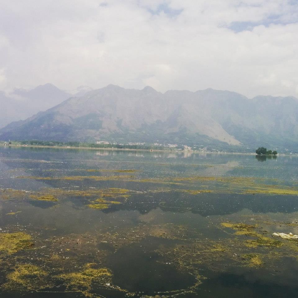 Photo of by Gopika Gulati