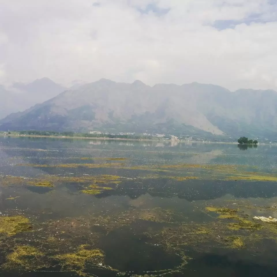 Photo of Upper dal lake, Srinagar by Gopika Gulati