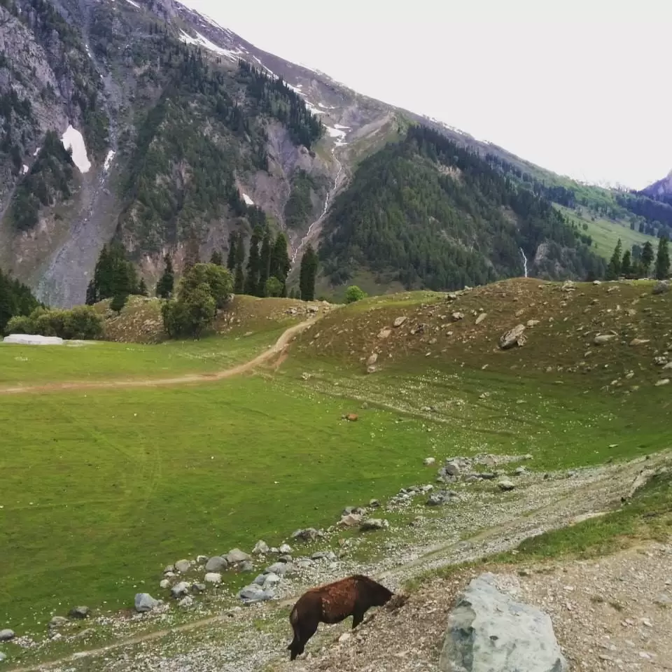 Photo of Sonmarg by Gopika Gulati