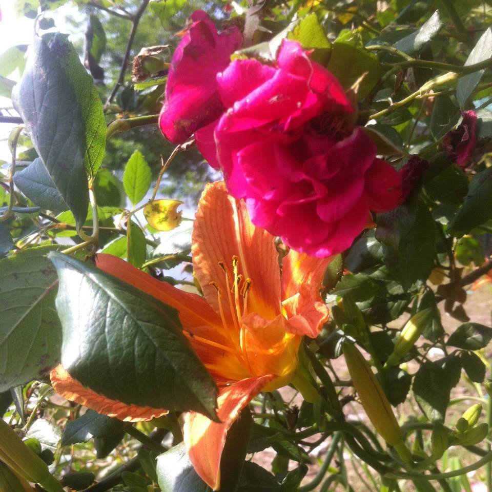 Photo of by Gopika Gulati