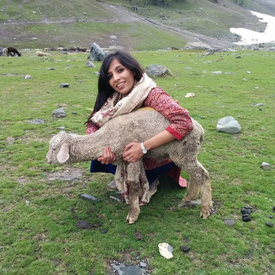 Photo of Sonmarg by Gopika Gulati