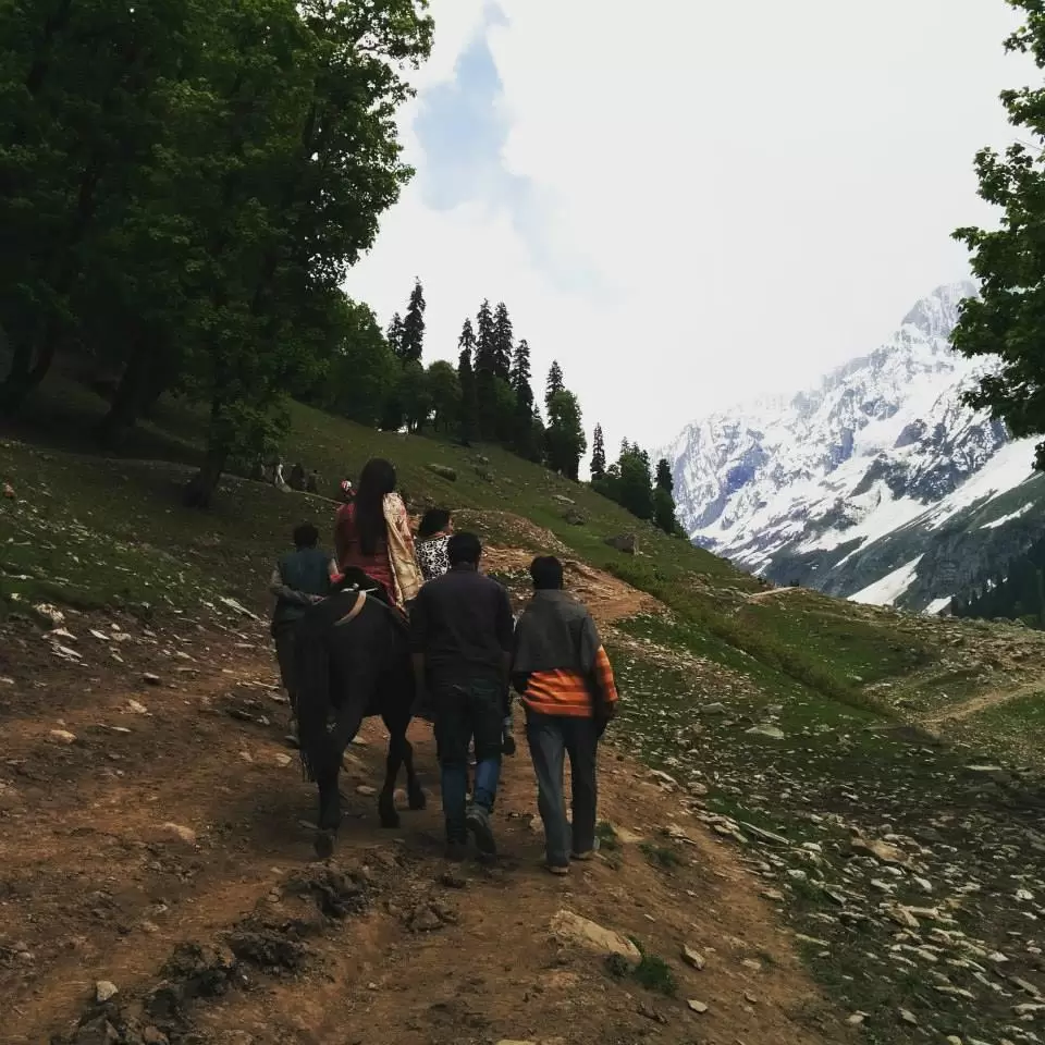 Photo of Sonmarg by Gopika Gulati