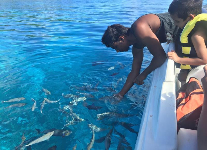 Photo of How to spend 900 USD for a 3D3N stay in Maldives 9/16 by mandy