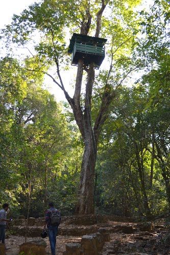 Photo of Cotigao Wildlife Sanctuary, Cotigao, Goa, India by Deepak