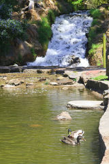 Photo of Golden Gate Park, San Francisco, CA, United States by Chris Hardman
