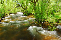 Photo of Gregory Canyon, Boulder, CO, United States by Mukesh Rawat