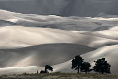 Photo of Great Sand Dunes National Park, Mosca, CO, United States by Mukesh Rawat