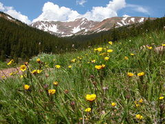 Photo of Loveland Pass Rd, Keystone, CO, United States by Mukesh Rawat