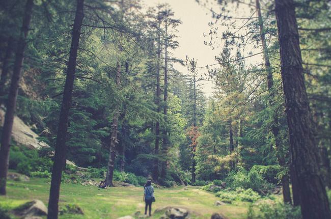 Photo of The Truth Is You Will Not Find Peace In The Exceptionally Crowded Village of Kasol by Sreshti Verma