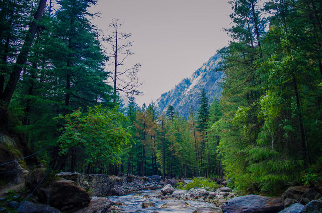 Photo of The Truth Is You Will Not Find Peace In The Exceptionally Crowded Village of Kasol by Sreshti Verma