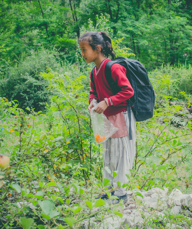 Photo of The Truth Is You Will Not Find Peace In The Exceptionally Crowded Village of Kasol by Sreshti Verma