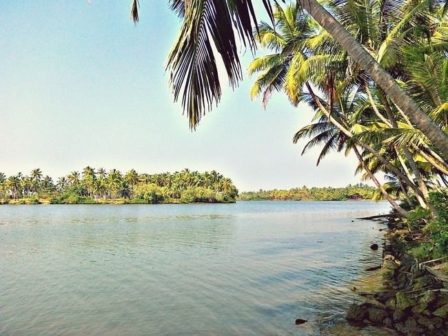Photo of Kavvayi, Kannur, Kerala, India by Sreshti Verma