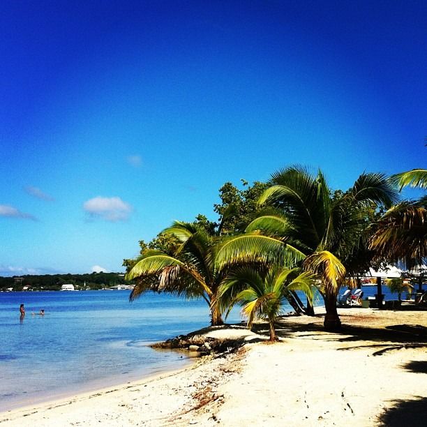 Photo of Utila, Bay Islands, Honduras by Trisha Singh