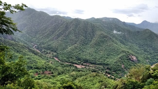 Photo of A trip to Araku Valley : Where nature is at its best! by Le Voyageur
