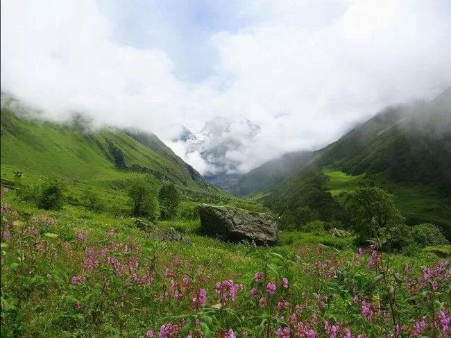 Photo of Valley of Flowers National Park, Chamoli, Uttarakhand, India by Disha Kapkoti