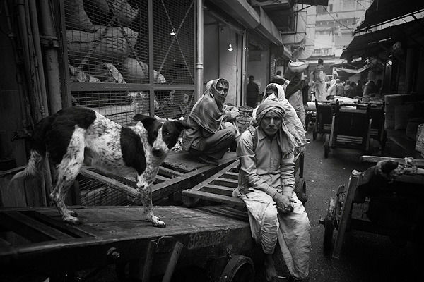 Photo of Khari Baoli, New Delhi, Delhi, India by Srishti Mehta