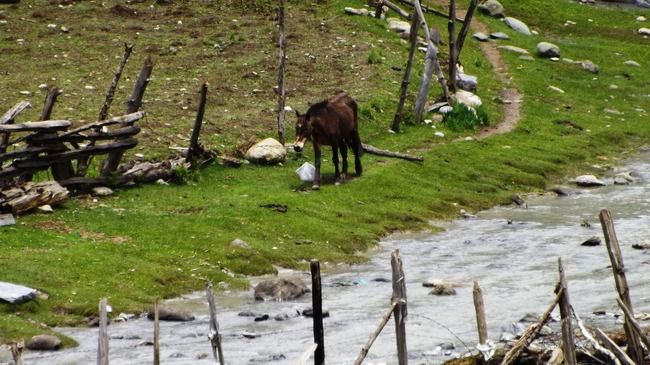 Photo of Sonamarg by Khushnum Y Mistry