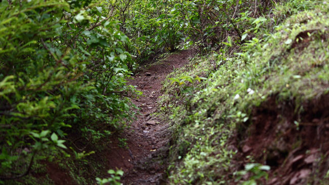 Photo of Monsoon trek to Purandar Fort by Rudraksha Chodankar