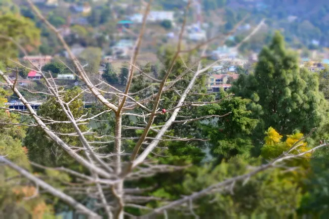 Photo of Bhimtal, Uttarakhand, India by Shreya Agrawal