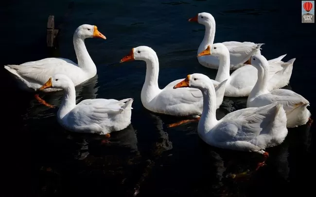 Photo of Sattal, Uttarakhand, India by Ankkit Saxena