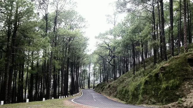 Photo of Khirsu, Uttarakhand, India by Paramjeet Singh