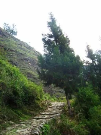 Photo of Khirsu, Uttarakhand, India by Naresh Tomar 