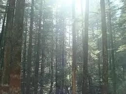 Photo of Khirsu, Uttarakhand, India by Naresh Tomar 