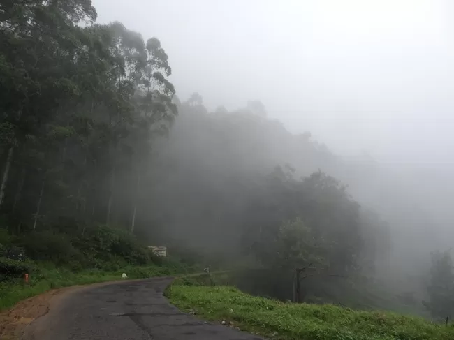 Photo of Khirsu, Uttarakhand, India by Naresh Tomar 