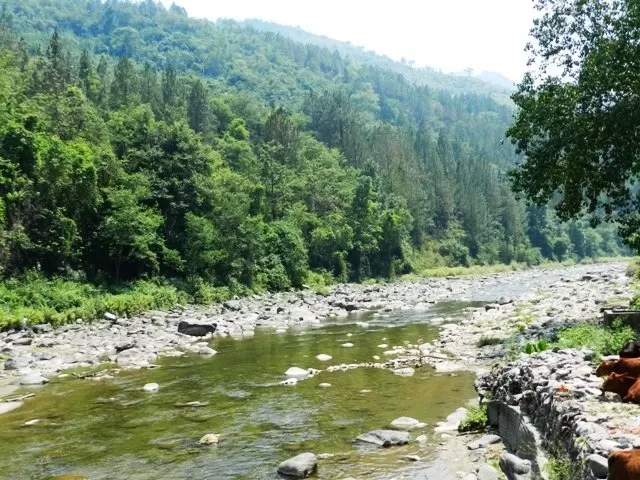 Photo of Khirsu, Uttarakhand, India by Naresh Tomar 