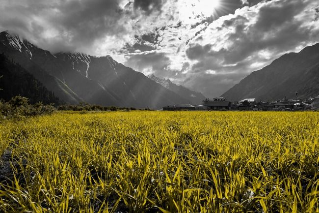 Photo of Chitkul, Himachal Pradesh, India by Jyotirmoy Gupta
