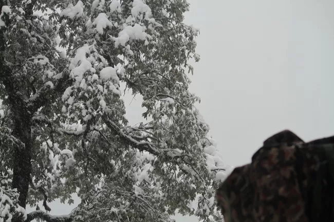 Photo of Bir, Himachal Pradesh, India by Neethu