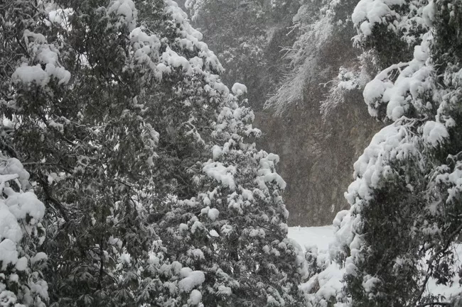 Photo of Bir, Himachal Pradesh, India by Neethu