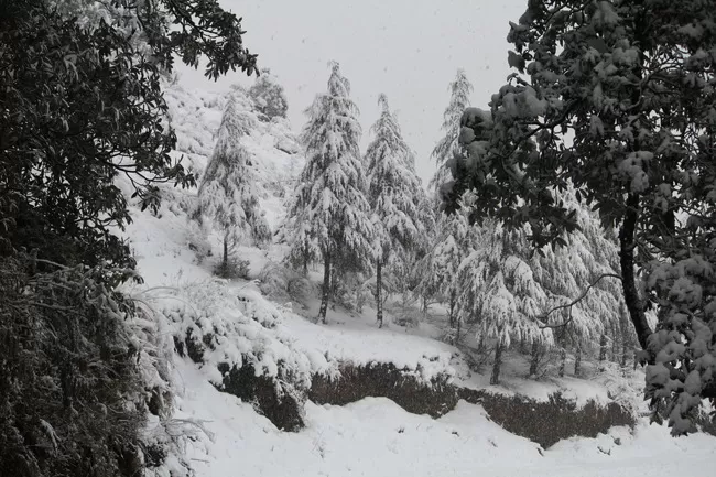 Photo of Bir, Himachal Pradesh, India by Neethu