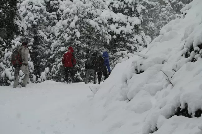 Photo of Bir, Himachal Pradesh, India by Neethu