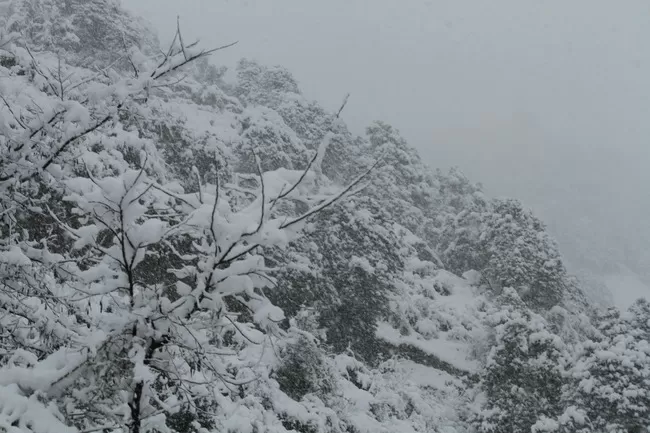 Photo of Bir, Himachal Pradesh, India by Neethu