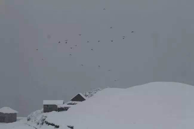 Photo of Bir, Himachal Pradesh, India by Neethu