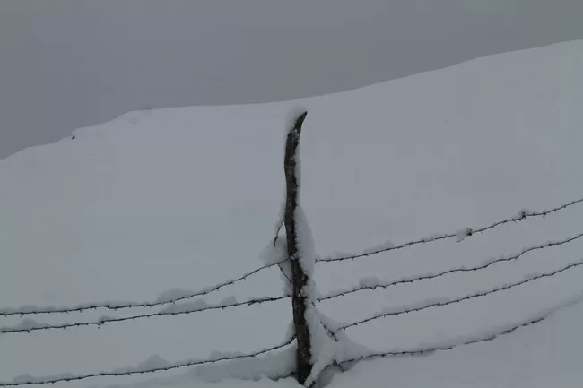 Photo of Bir, Himachal Pradesh, India by Neethu