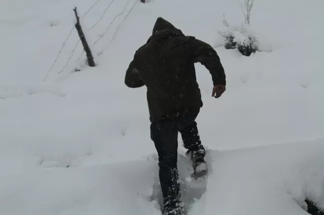 Photo of Bir, Himachal Pradesh, India by Neethu