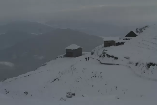 Photo of Billing Valley, Biling, Himachal Pradesh, India by Neethu