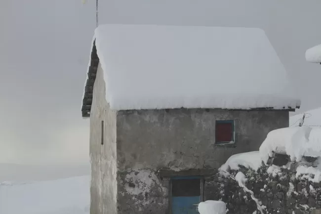 Photo of Billing Valley, Biling, Himachal Pradesh, India by Neethu