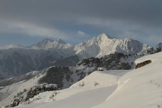 Photo of Billing Valley, Biling, Himachal Pradesh, India by Neethu