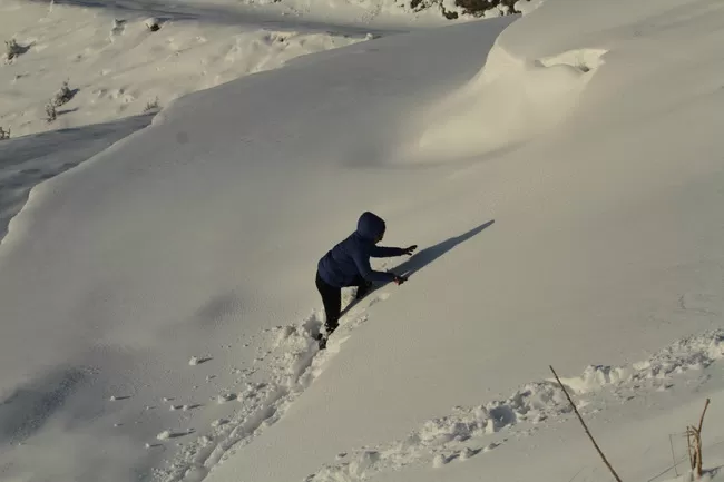 Photo of Billing Valley, Biling, Himachal Pradesh, India by Neethu