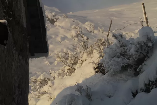 Photo of Billing Valley, Biling, Himachal Pradesh, India by Neethu