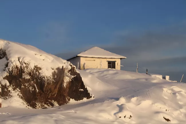 Photo of Billing Valley, Biling, Himachal Pradesh, India by Neethu