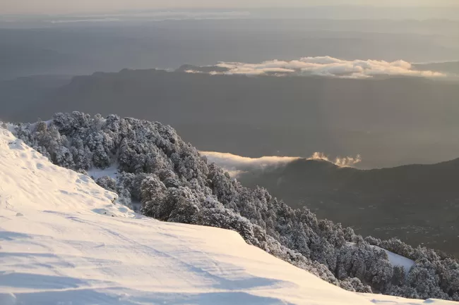 Photo of Billing Valley, Biling, Himachal Pradesh, India by Neethu