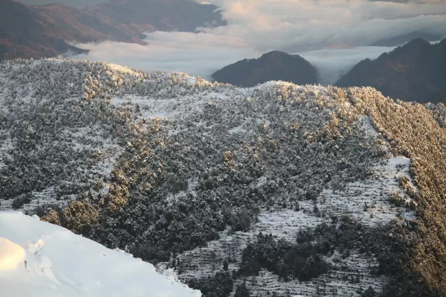 Photo of Billing Valley, Biling, Himachal Pradesh, India by Neethu