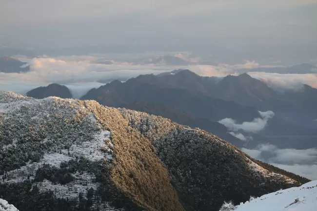 Photo of Billing Valley, Biling, Himachal Pradesh, India by Neethu